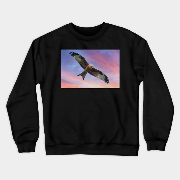 Soaring Red Kite Bird of Prey Crewneck Sweatshirt by MartynUK